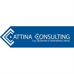 Cattina Consulting