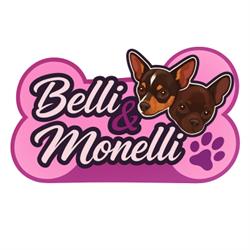 Belli e Monelli