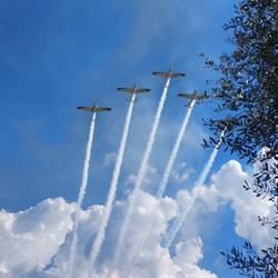 Fly Roma
