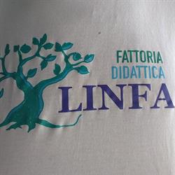 Fattoria Linfa