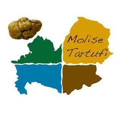 Molise Tartufi