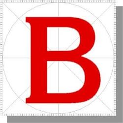 BONACINA COSTRUZIONI SRL