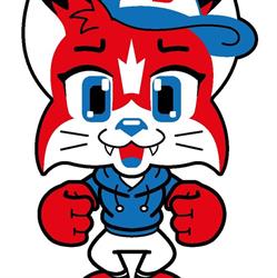 Bobcats