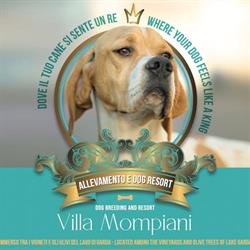 Villa Mompiani Dog Resort