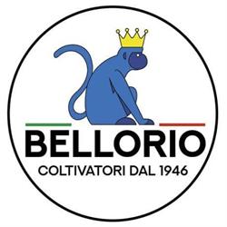 Azienda Agricola Bellorio Lucio