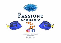 Passione Acquario di Wang Zhanfeng