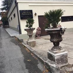 Bisi Antichità