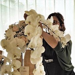 Giovanna Chirumbolo - Workhouse Flowers