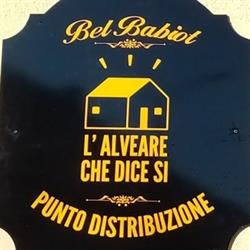 Alveare Bel Babiot - Leinì
