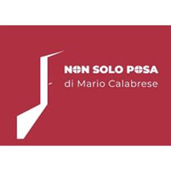 Non Solo Posa