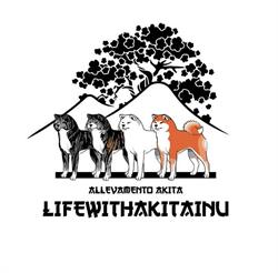 allevamento akita lifewithakitainu