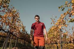 Azienda Agricola Fedrizzi Alessandro