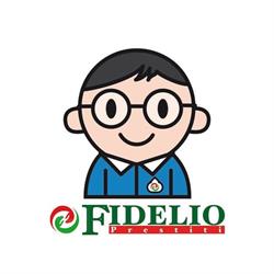 FIDELIO SERVIZI FINANZIARI SRL
