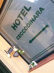 Hotel Cecco di Nara