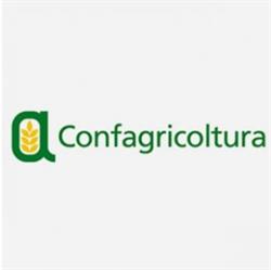 Patronato enapa