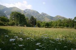 B&B Verde Selva