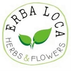 Erba Loca