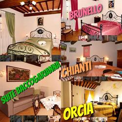 B&B Camere La Vite