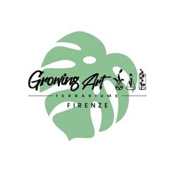 Growing Art Terrariums