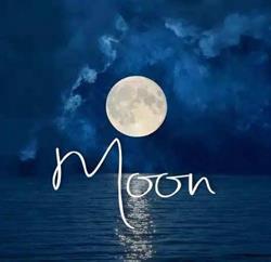 Moon Srls
