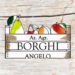 Azienda Agricola Borghi Angelo