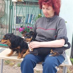Animali felici a Centallo