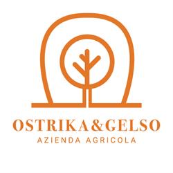 Ostrika&Gelso