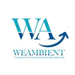 We Ambient