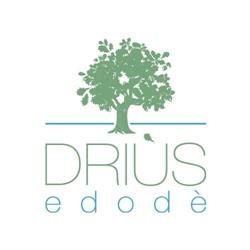 Driùs edodè - b&b affittacamere