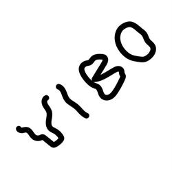 Vibo