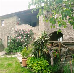B&B il palazzo