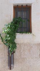 B&B Le Tre Cisterne Altamura