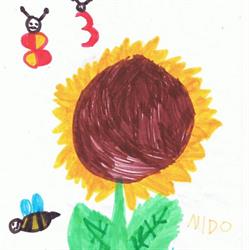 Nido accreditato e scuola dell'infanzia paritaria Il Girasole