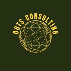 DOTS CONSULTING S.R.L.