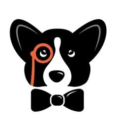 Family Dog Club - Asilo per cani diurno Roma