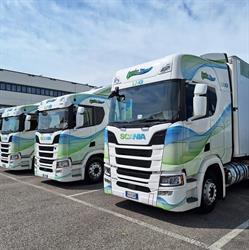 Cavedon Marco Autotrasporti Srl
