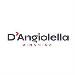 D'ANGIOLELLA DINAMICA
