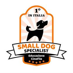 SMALL DOG SPECIALIST - Educazione Cinofila specifica per cani di taglia piccola
