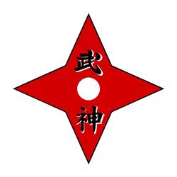Ninjutsu Este