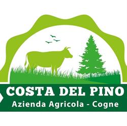 Azienda Agricola Costa del Pino
