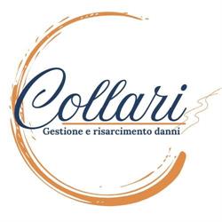Collari Gestione Sinistri