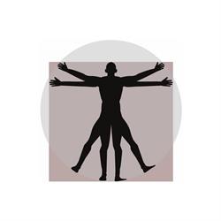 STUDIO IN CORPORE SANO Fisioterapia - Osteopatia - Chinesiologia