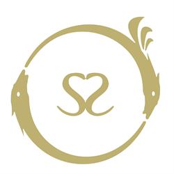 LogoSolar SRL - Alchemy Remedies