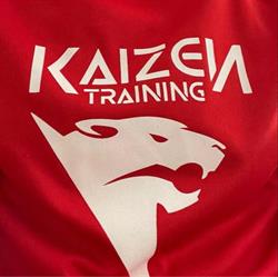 Kaizen Training SSD arl