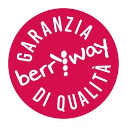 Berryway s.r.l