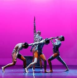 DANZART ASD