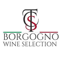 TCS Borgogno S.R.L.