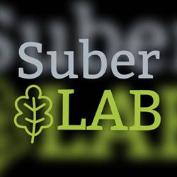 Suber Lab