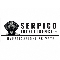 Serpico Intelligence Informazioni Commerciali Investigazioni