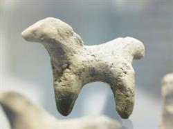 Museo della Terramara Santa Rosa